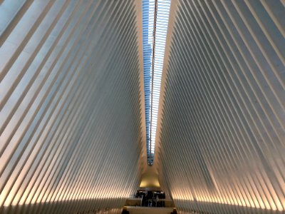 The Oculus, World Trade Center Transportation Hub, New Yor… 
