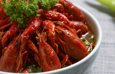 Shooting gourmet photography
