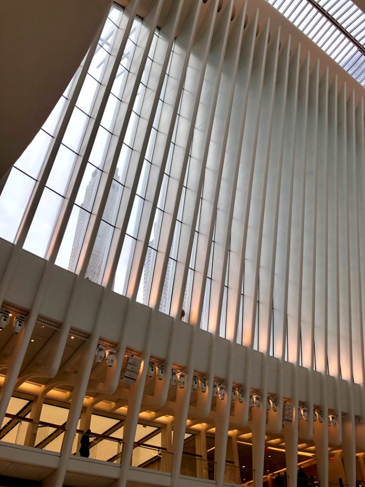 The Oculus, World Trade Center Transportation Hub, New Yor… 