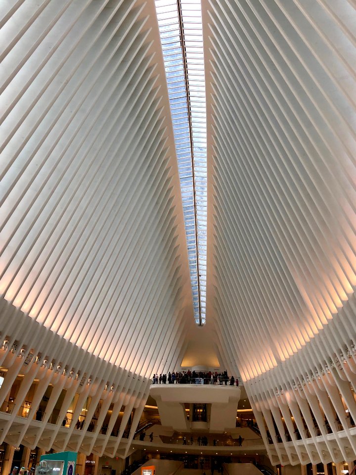 The Oculus, World Trade Center Transportation Hub, New Yor… 
