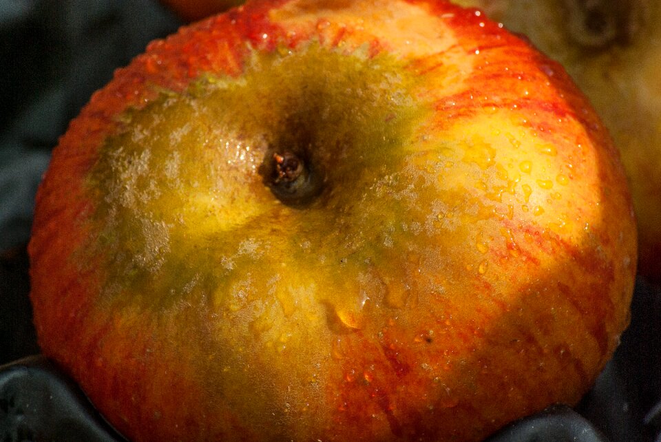 Fruit apple fall