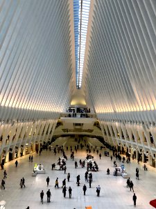 The Oculus, World Trade Center Transportation Hub, New Yor… 