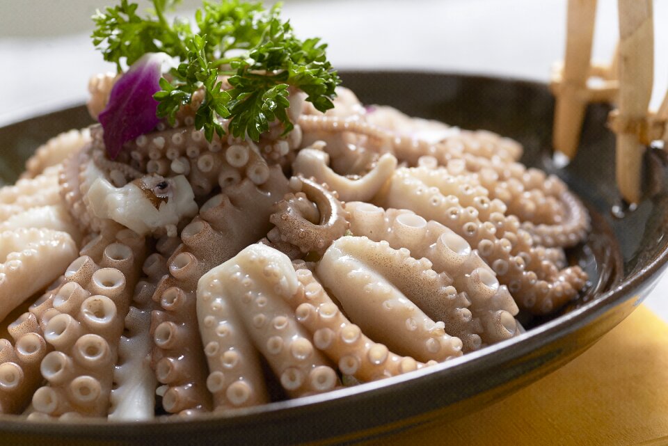 Gourmet photography sashimi