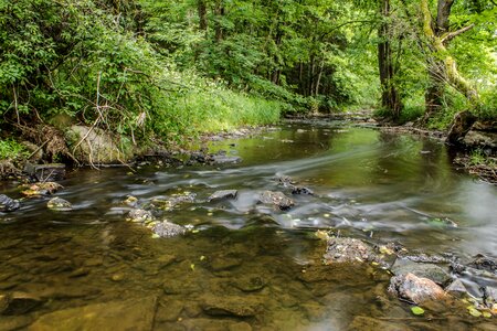 Bank landscape forest photo