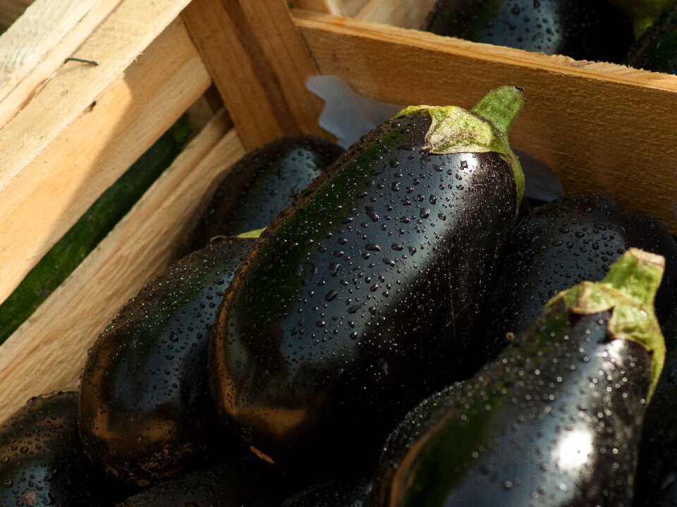 Vegetables food vegetable garden