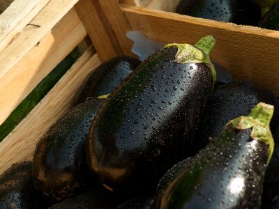 Vegetables food vegetable garden