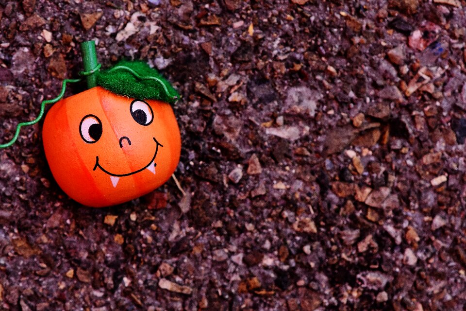 Pumpkin gourd orange