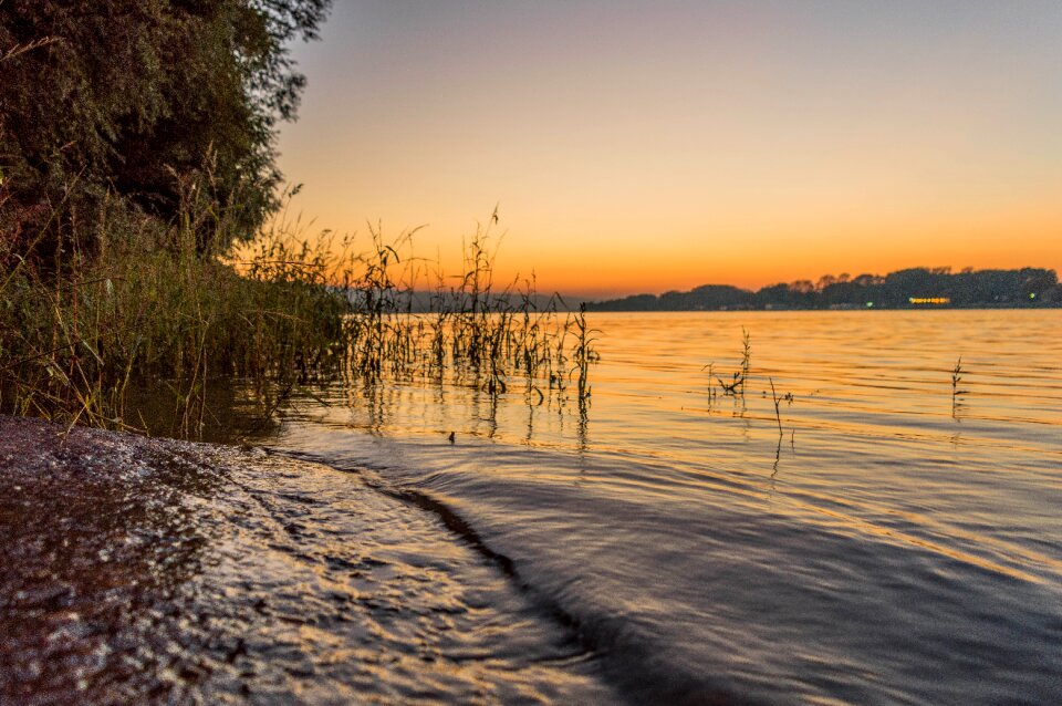 Nature river danube
