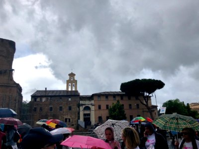 Basilica dei Santi Cosma e Damiano, Roma, LZ, IT 