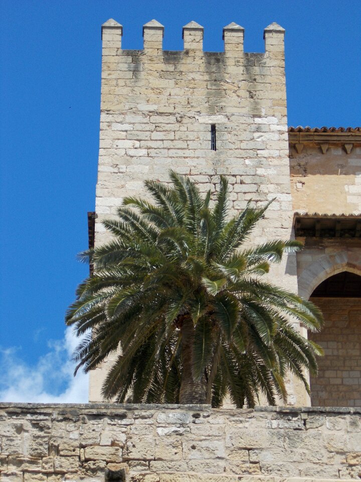 Palace building palma