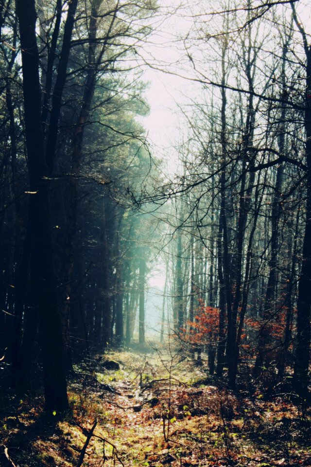 Landscape mood aesthetic