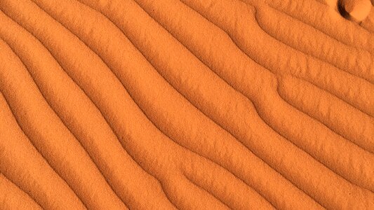 Nature pattern orange photo