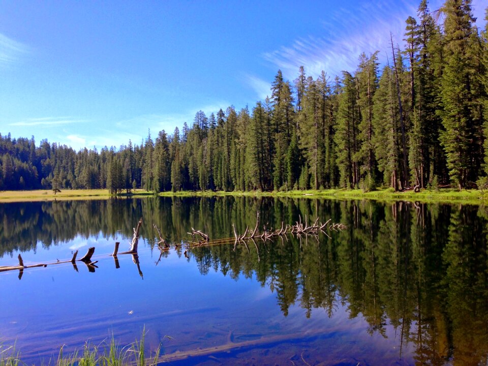 Lake pond forest