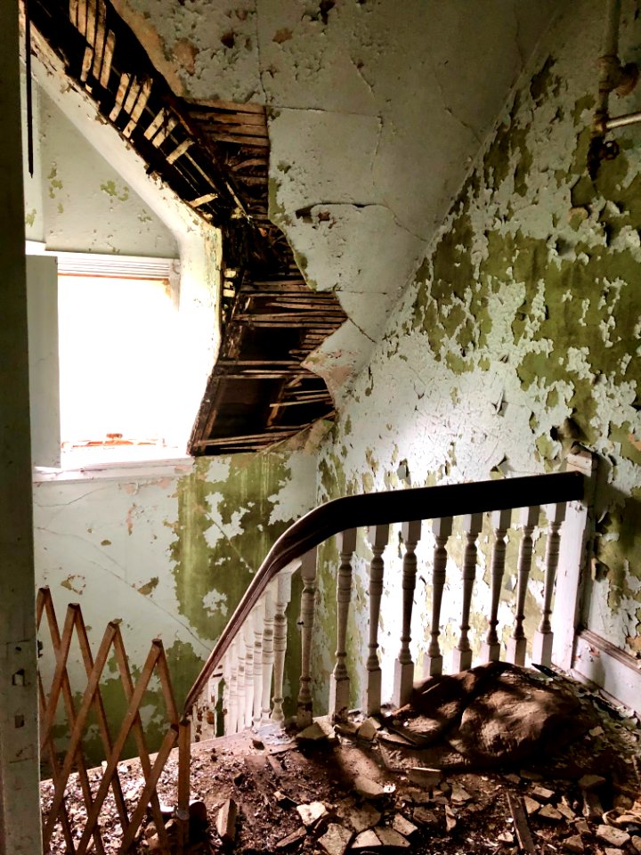Servant's Stairway, Edgewood (A. E. Burckhardt House), Avo… 