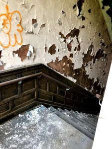 Stairway, Edgewood (A. E. Burckhardt House), Avondale, Cin… 