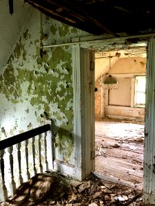 Servant's Stairway, Edgewood (A. E. Burckhardt House), Avo… photo