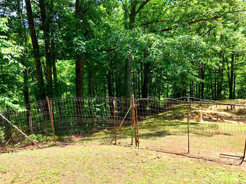 Fence, Little Cataloochee Baptist Church Graveyard, Little… 