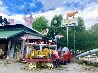 Biltmore Dairy Farms Sign, Piggy's Ice Cream-Harry's Grill… 