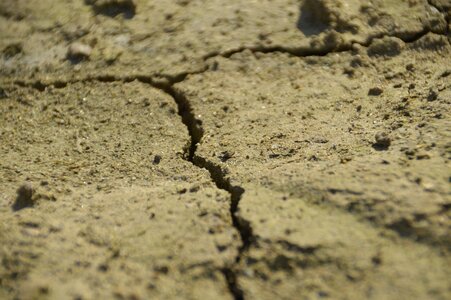 Dehydrated cracked drought