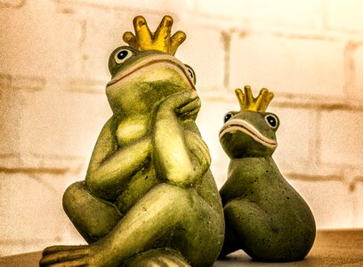 Crown frog prince fairy tale photo