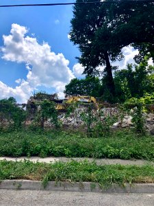 Remains of the Mary A. Wolfe House, North Avondale, Cincin… 