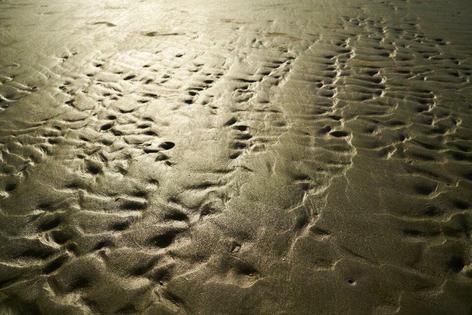 Reflection texture sunset