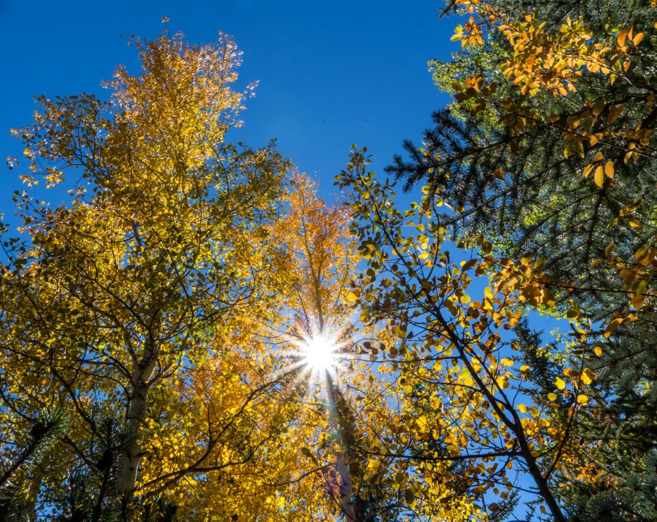 Colorful nature bright