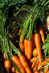 Harvest farmer market