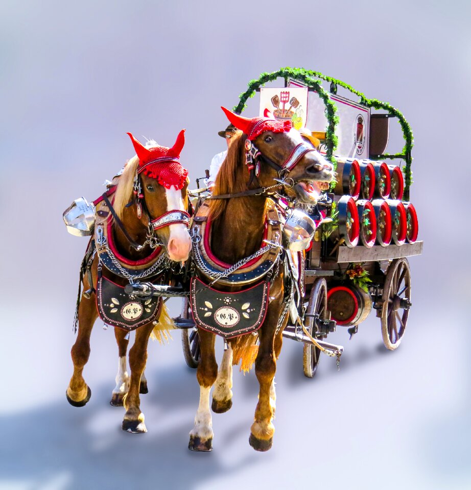 Horse drawn carriage beer carriage beer