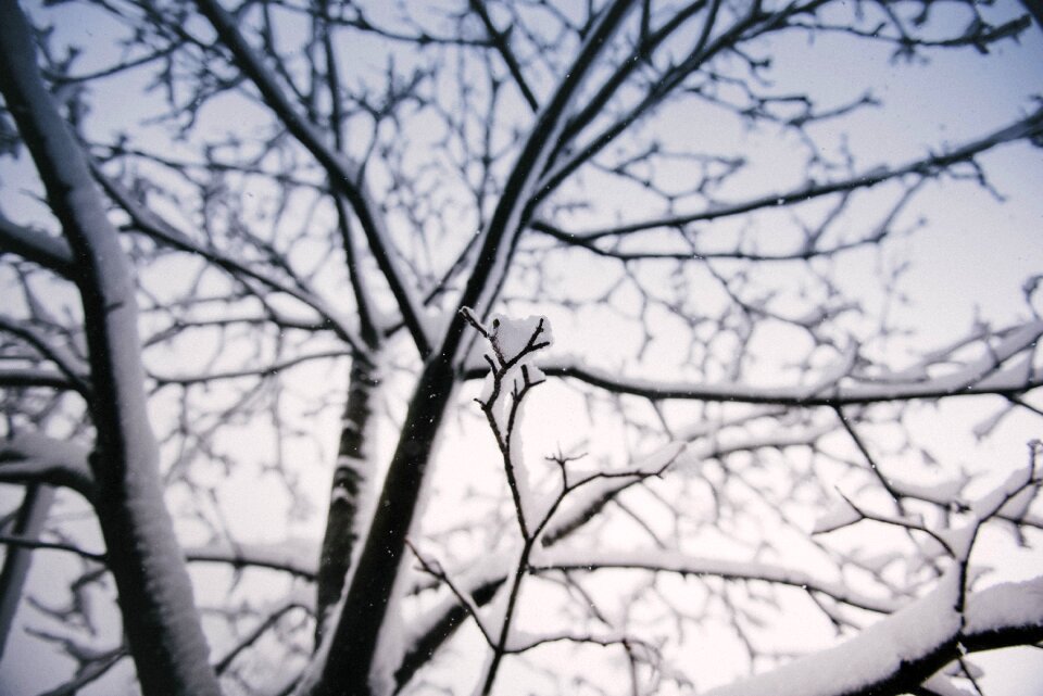 Sparse dull thinning