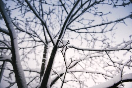 Sparse dull thinning