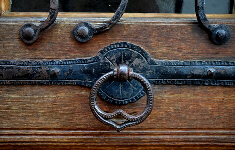 Thumper wooden door art nouveau