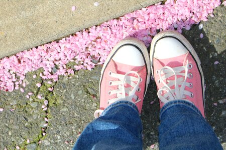 Pink flowers blossoms shoes photo