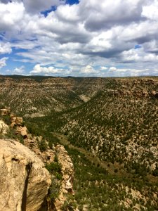 Canyon, Mesa Verde National Park, CO 
