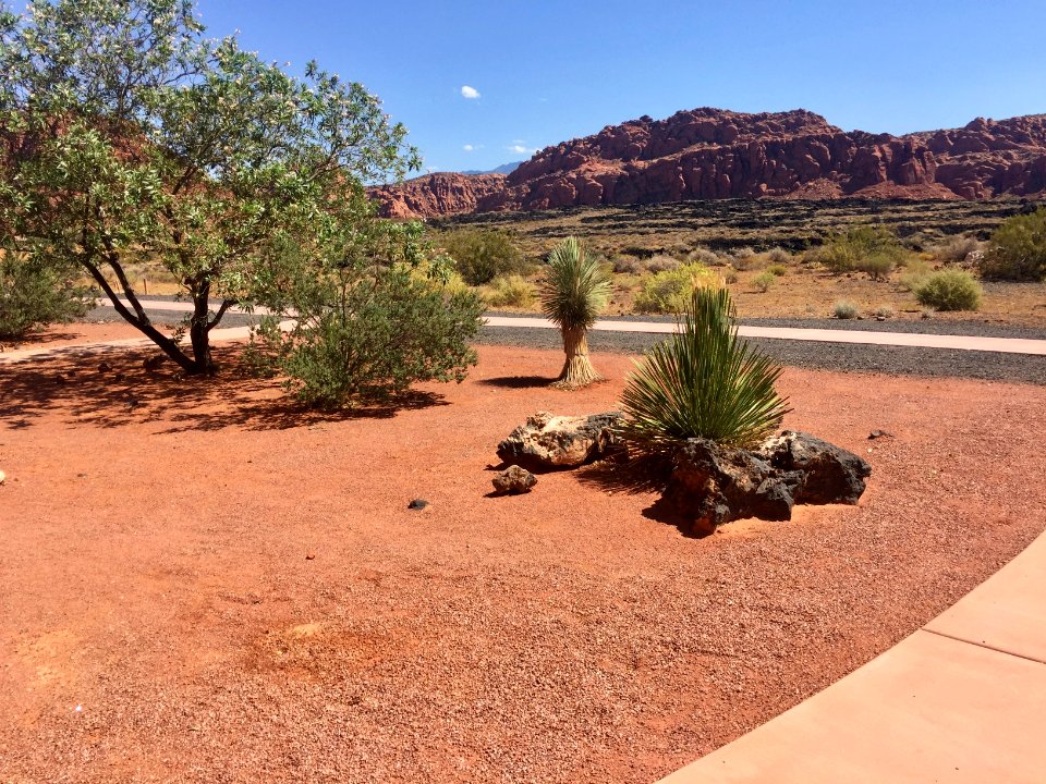 Snow Canyon State Park, St. George, UT 