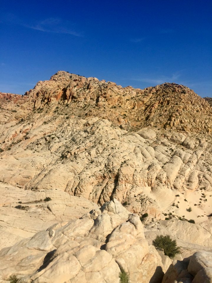 Snow Canyon State Park, St. George, UT 