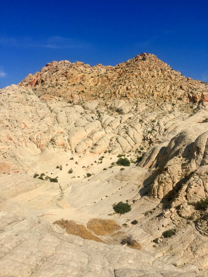 Snow Canyon State Park, St. George, UT 