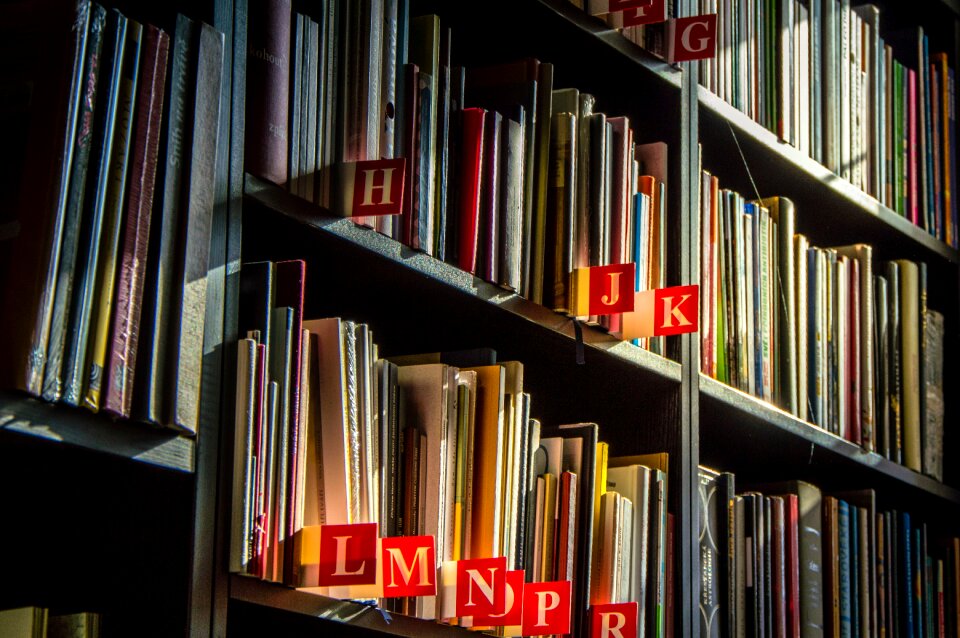 Read sale books reading