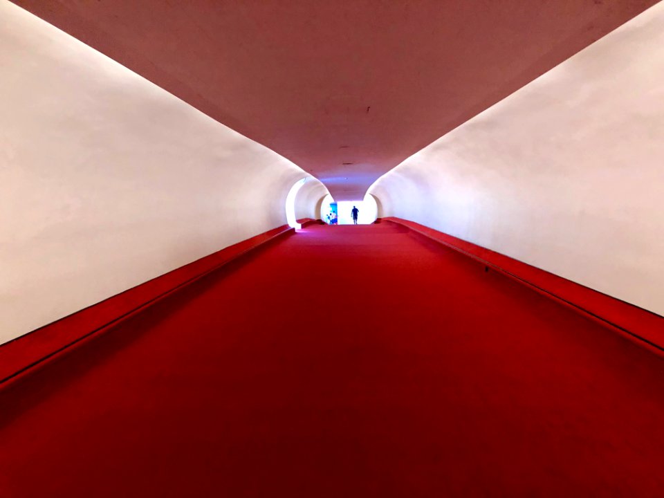 TWA Flight Center, John F. Kennedy International Airport, … 