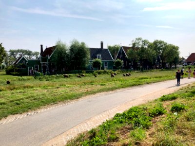 Zaanse Schans, Zaandam, Noord-Holland, Nederland photo