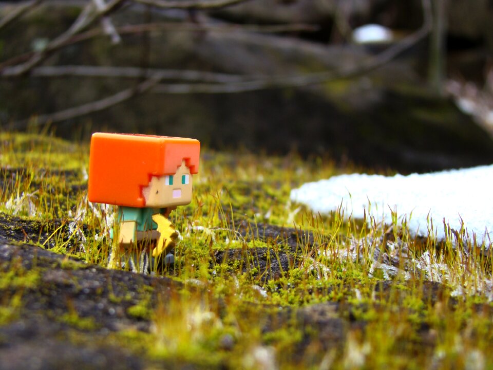 Real world pickaxe moss