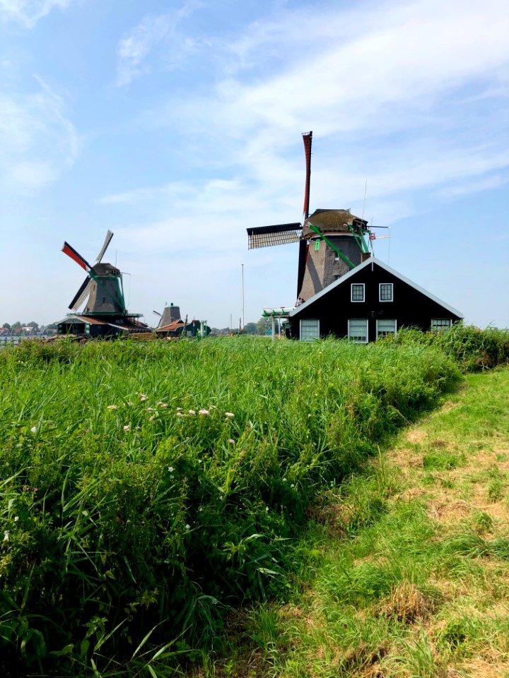 Oliemolen de Zoeker, Zaanse Schans, Zaandam, Noord-Holland… 