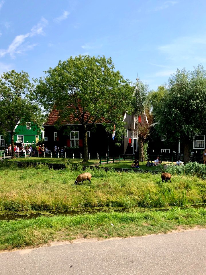 Zaanse Schans, Zaandam, Noord-Holland, Nederland 