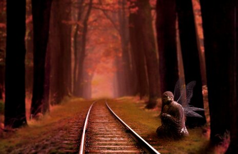 Nature forest tale