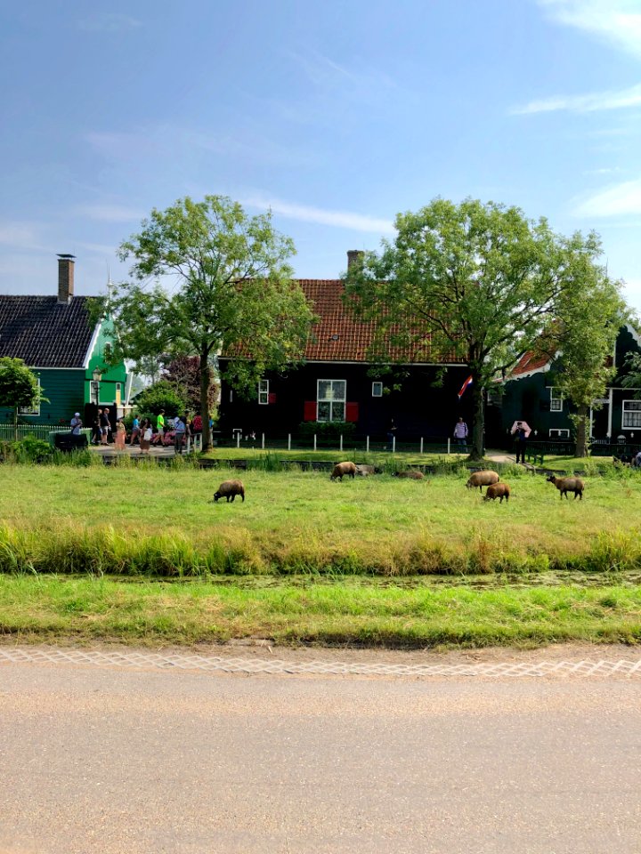 Zaanse Schans, Zaandam, Noord-Holland, Nederland 