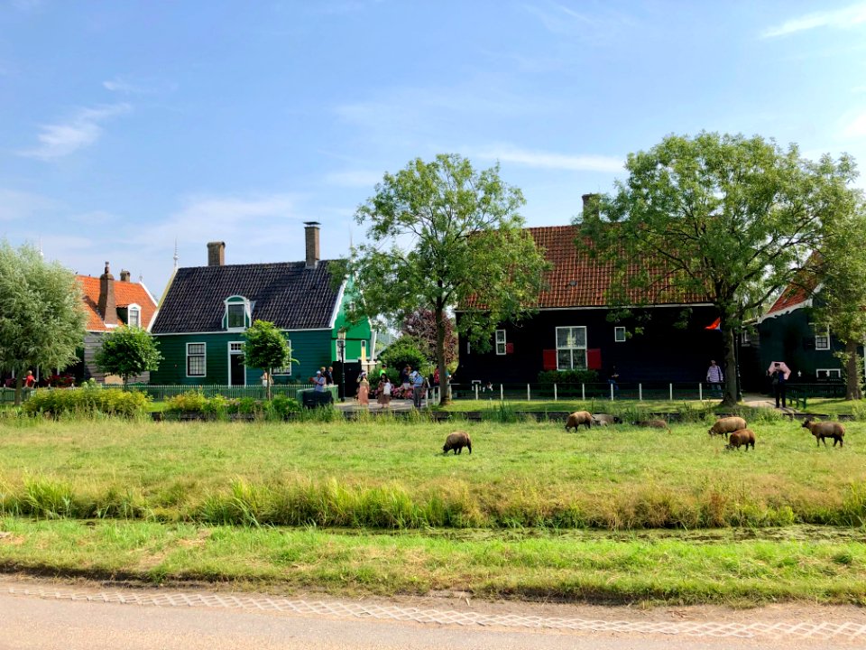 Zaanse Schans, Zaandam, Noord-Holland, Nederland 