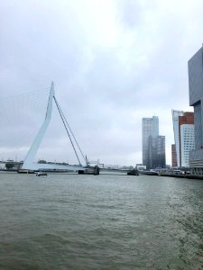 Erasmusbrug, Rotterdam, Zuid-Holland, Nederland 