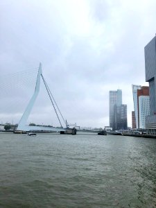 Erasmusbrug, Rotterdam, Zuid-Holland, Nederland photo