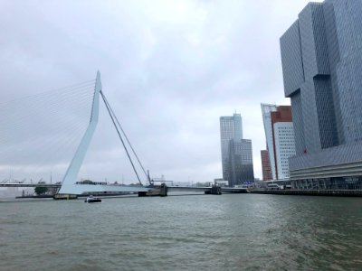 Erasmusbrug, Rotterdam, Zuid-Holland, Nederland 