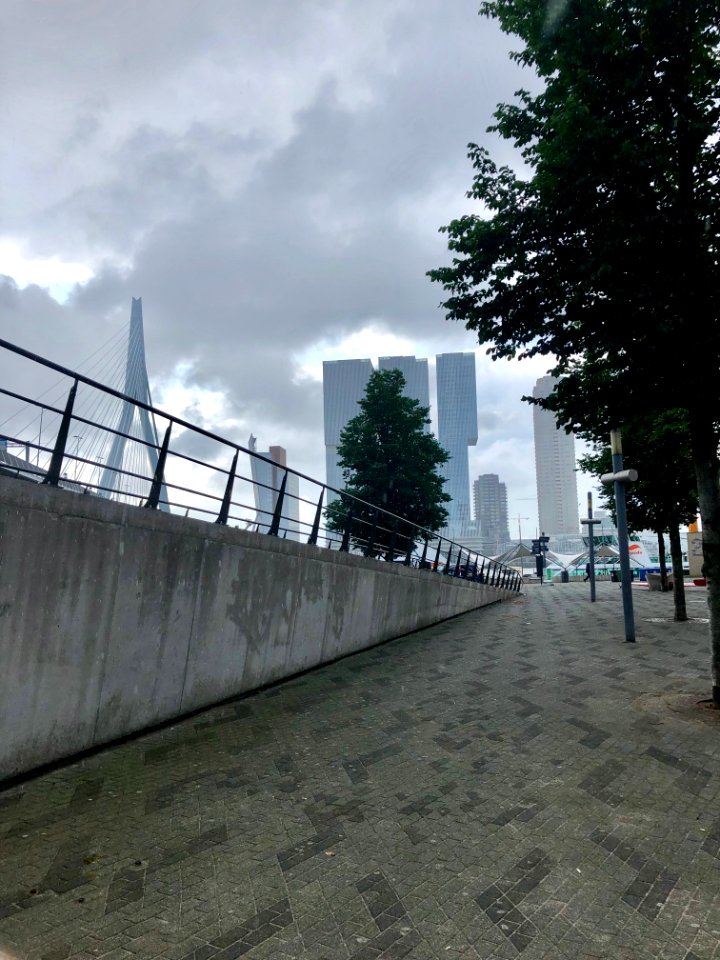Erasmusbrug, Rotterdam, Zuid-Holland, Nederland 